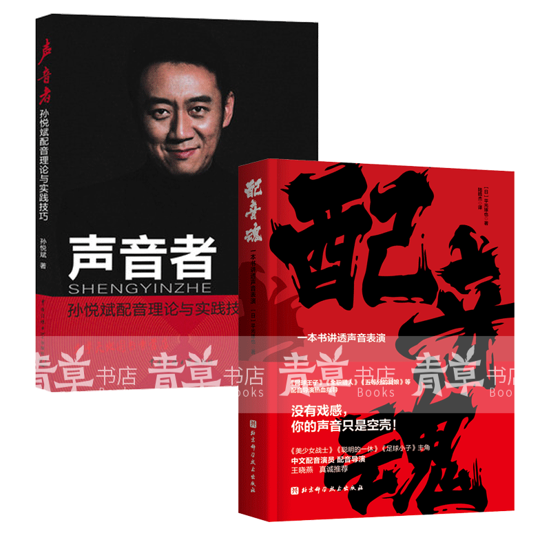 声音者孙悦斌配音理论及实践技巧+配音魂: