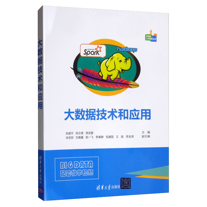 大数据技术和应用/大数据人才培养丛书