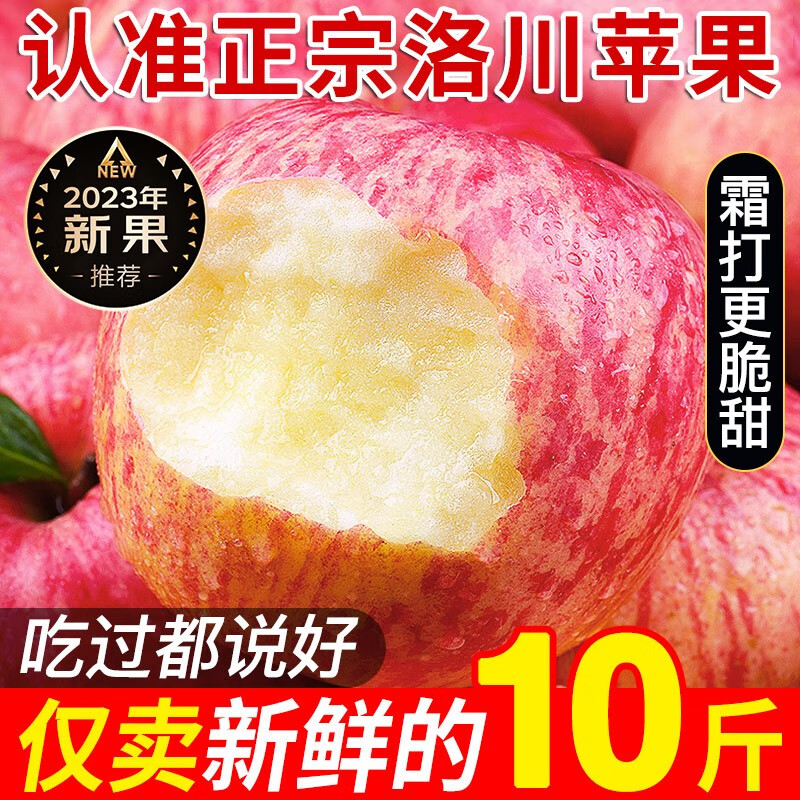 沙窝曙光（shawoshuguang）陕西洛川红富士苹果新鲜当季脆甜冰糖心时令丑苹果水果生鲜 带箱9.5斤大果（净重8.5-9斤）高性价比高么？