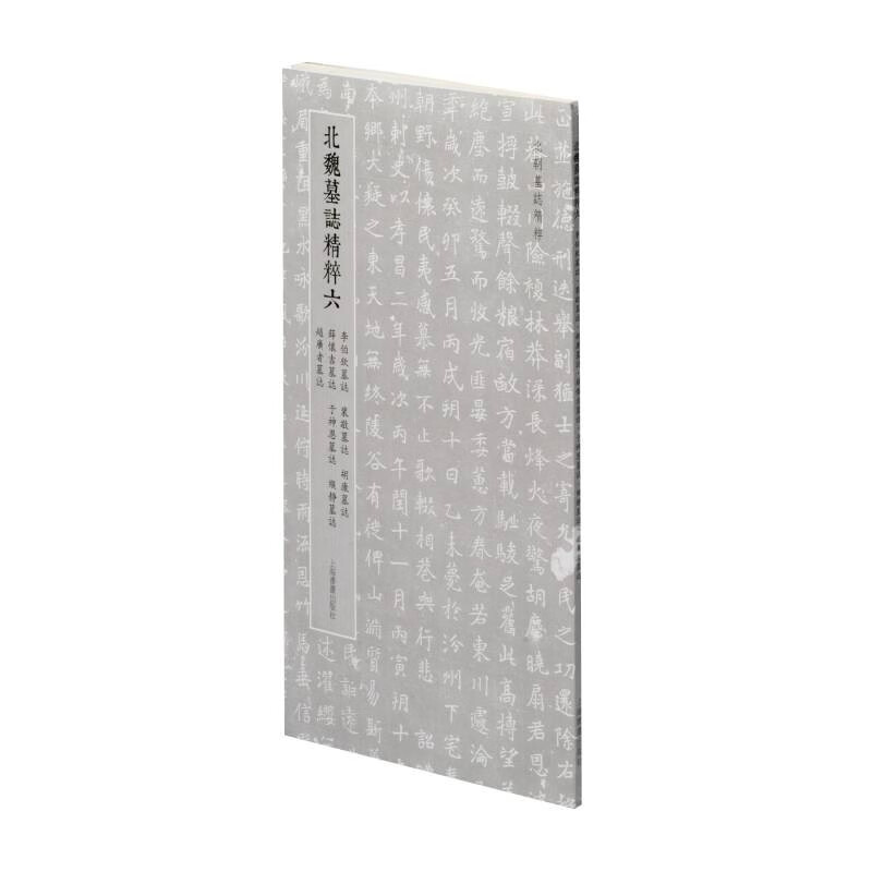 北朝墓志精粹· 北魏墓誌精粹六