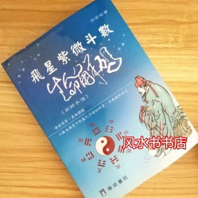 飞星紫微斗数生命解码-周师手法 梁若瑜 