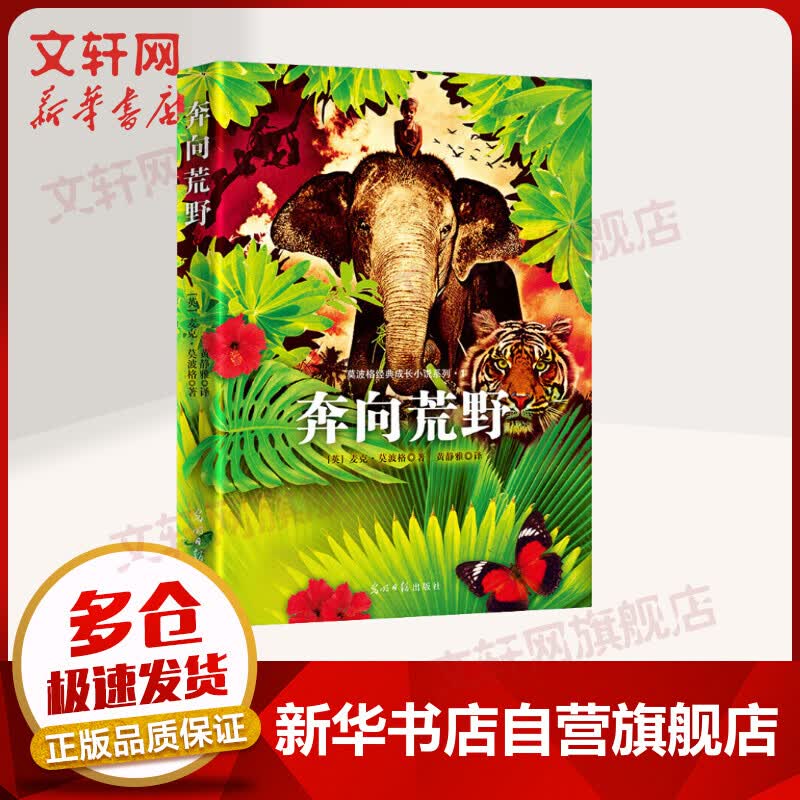 奔向荒野