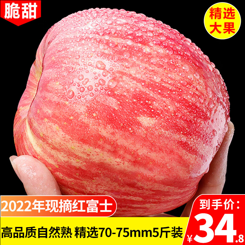 红富士苹果甘肃富士苹果2022年现摘新果水果生鲜时令苹果带箱10斤水果礼盒 5斤装「70-75mm」