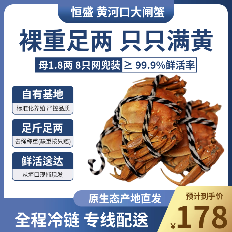 【活蟹】活宝天香黄河口大闸蟹鲜活公母六只八只十只装 死蟹包赔 母1.