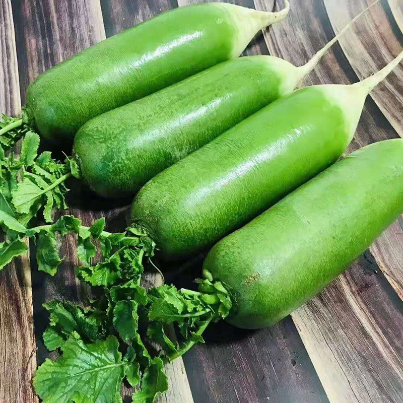 仟阳果舒 山东潍坊水果萝卜 潍县新鲜萝卜 时令新鲜水果蔬菜 水果萝卜净重3斤装