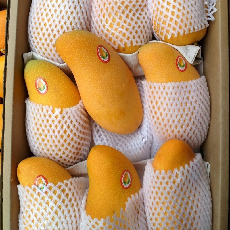 鲸咚亿农海南三亚金煌芒果水仙芒新鲜水果生鲜水果礼盒 带箱9-10斤大果【300-400克】净重8.5