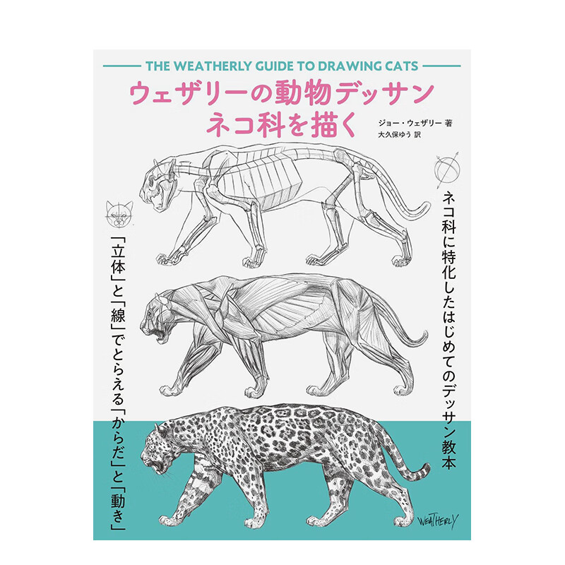 动物 ウェザリ—の動物デッサン ネコ科を描く 进口原版日文插画技法