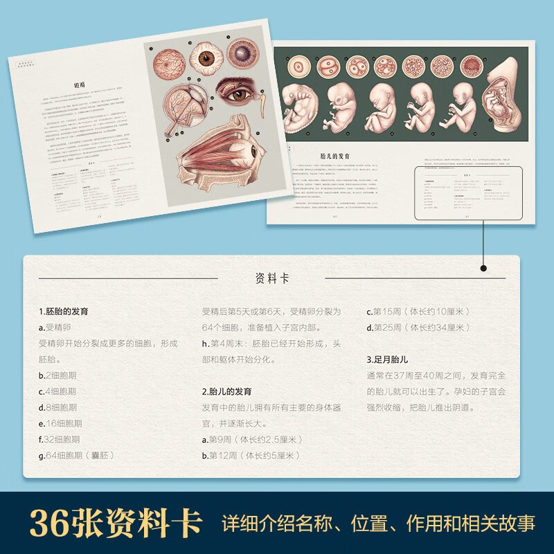 奇迹博物馆系列（套装2册）人体博物馆+太空博物馆 乐乐趣7岁+儿童科普阅读 揭秘人体和太空的秘密知识 亲子互动大百科全书 小学生课外阅读详情图