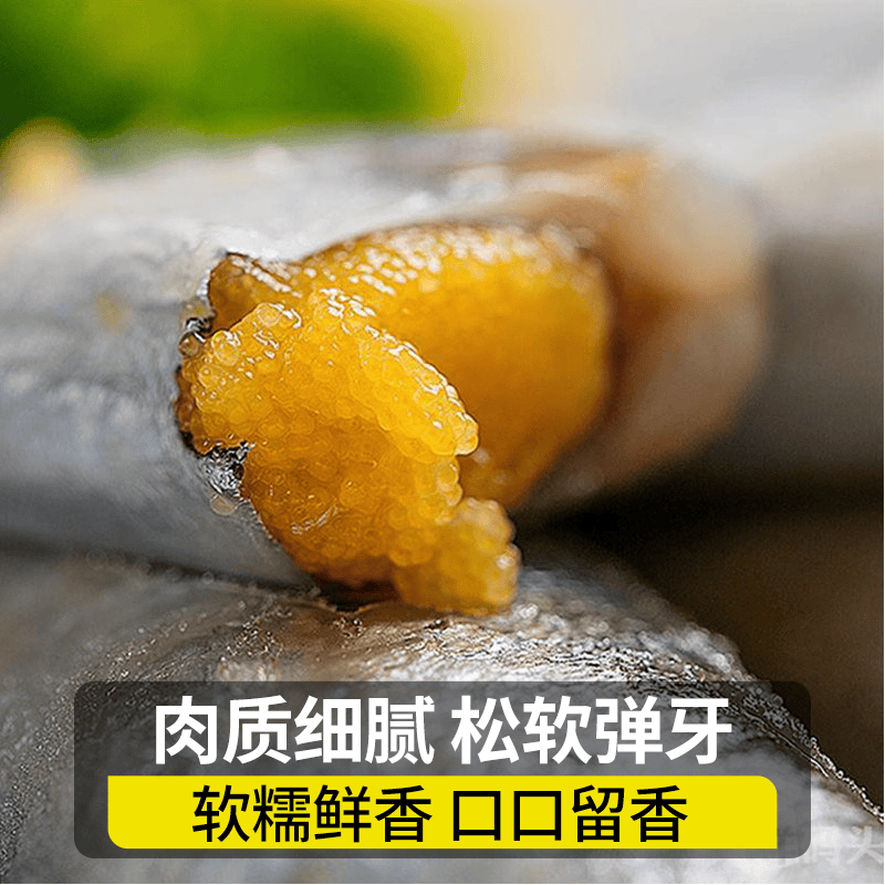 朵芙满籽多春鱼  特大多籽多春鱼净重 约30条/斤多子鱼烧烤食材海鲜 【2斤】满籽特大号13-15cm