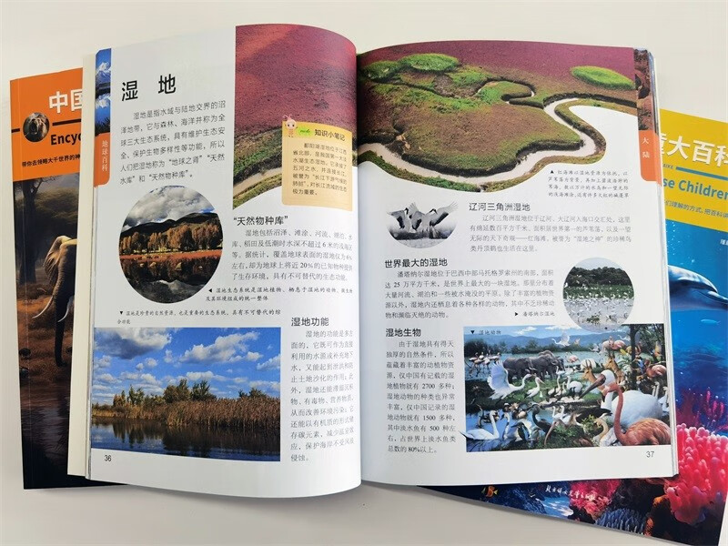 中国少年儿童大百科 全套共4册 动物 恐龙 海洋 地球 儿童趣味百科全书详情图