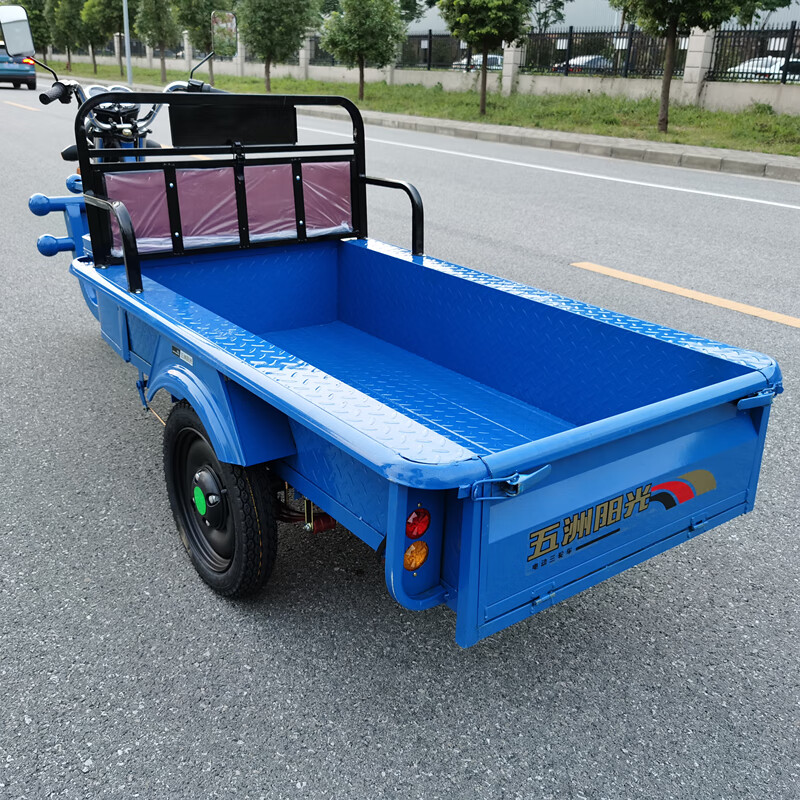 电动三轮车货运车新款家用电瓶三轮车接送孩子代步小吃摆摊平板车 1.