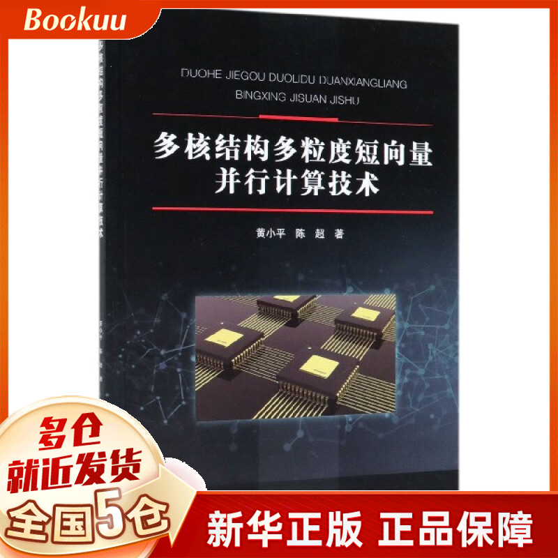 多核结构多粒度短向量并行计算技术