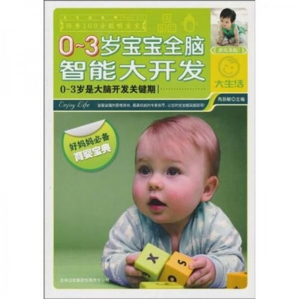 0~3岁宝宝全脑智能大开发