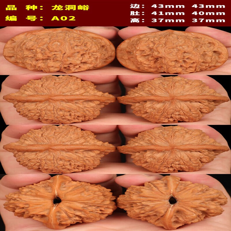 今传福文玩核桃狮子头野生龙洞峪核桃把玩核桃龙洞玉手把件男女盘玩