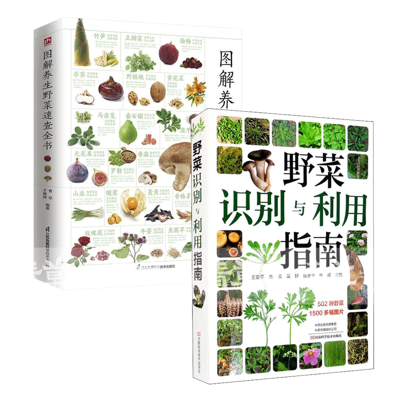 正版 全2册 野菜识别与利用指南 图解养生野菜速查全书 常见野菜野果