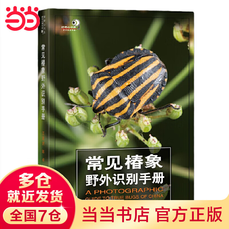 常见椿象野外识别