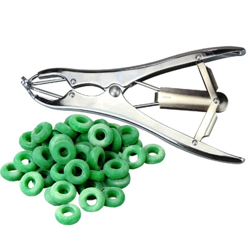 智牧人羊用扩张钳断尾圈 牛羊羔去势圈阉割圈兽用无血去势 不锈钢扩张