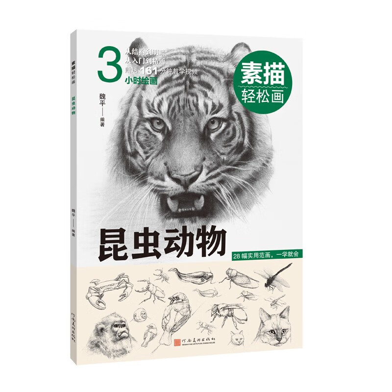 素描技法 从入门到精通 从结构到明暗 绘画技法 绘画书籍 教学视频