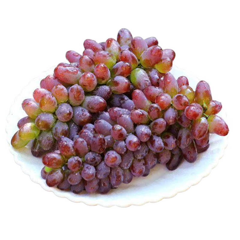 茉莉香葡萄提子色香味葡萄现摘新鲜水果 3斤