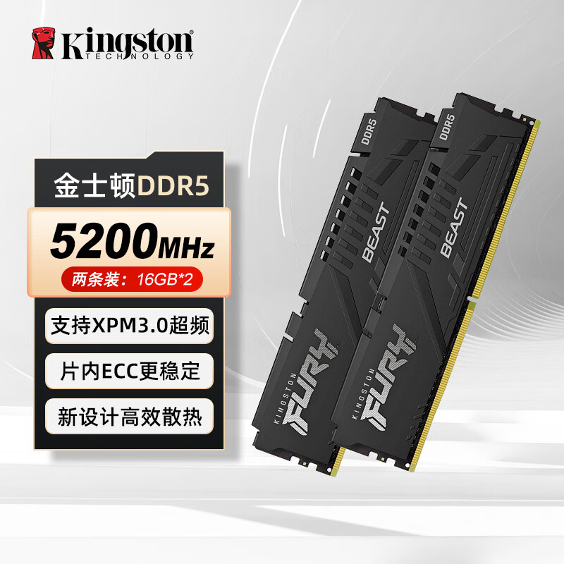 金士顿（Kingston） FURY DDR5 台式机内存条 Beast野兽系列  骇客神条 BEAST-5200-32G (16G*2)