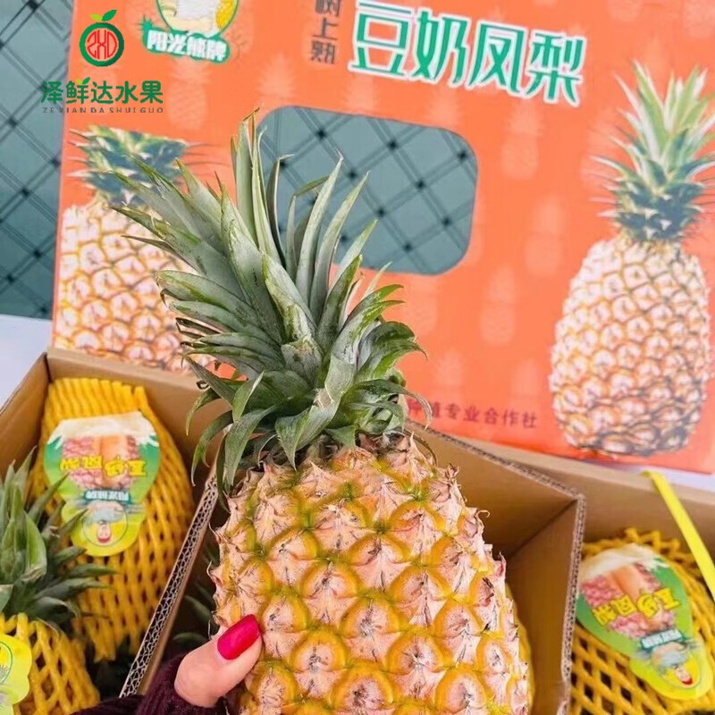 豆奶凤梨 单果2.5斤新鲜水果应季大菠萝甜菠萝 新鲜孕妇水果 2个装