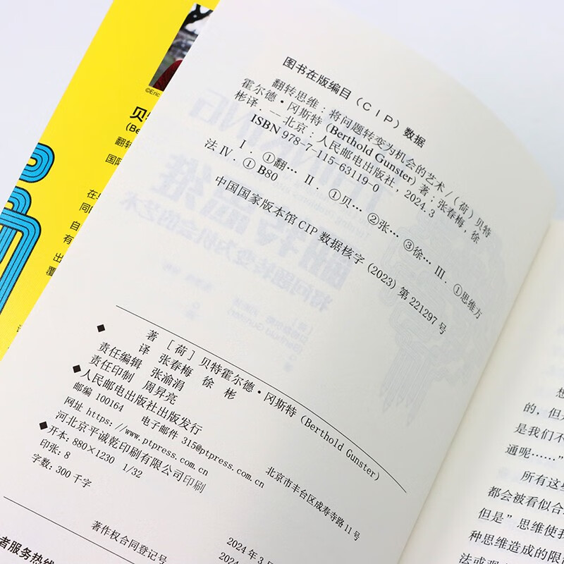 翻转思维：将问题转变为机会的艺术（智元微库出品）详情图
