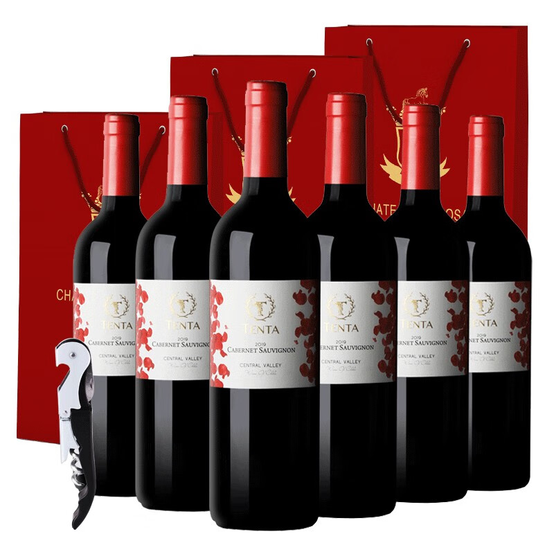 天帕（TENTA）智利中央山谷原瓶进口 赤霞珠干红葡萄酒红酒品种级红酒750ml*6瓶 花标赤霞珠13.5度