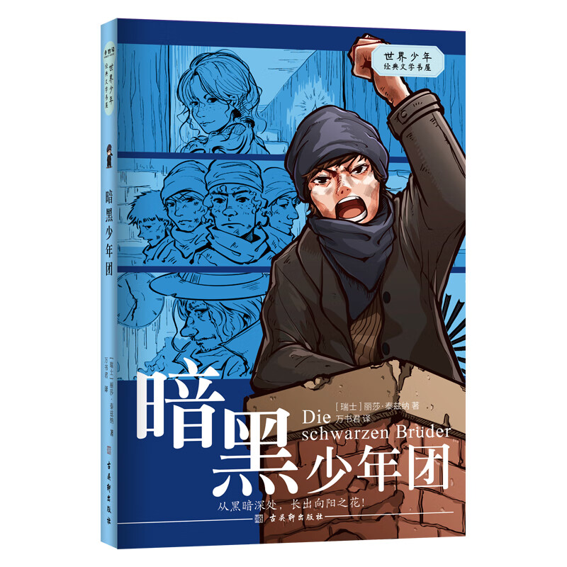 暗黑少年团 (瑞士)丽莎·泰兹纳 著 万书君 译 儿童文学