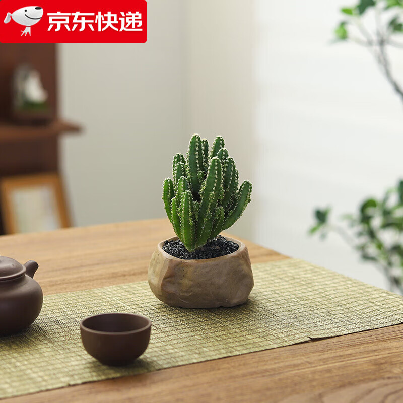 ��ѿ��������ɽ�������������������ļ������辰�칫������С����ֲ�� ����ɽ-������ʯ�裨�մ��裩 �����Ժ�