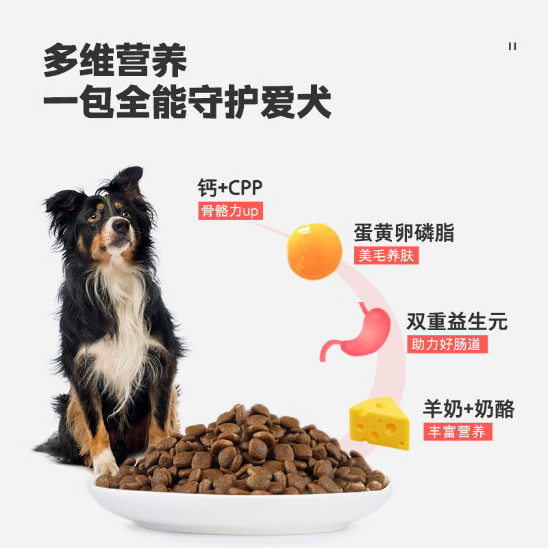 卫仕狗粮 食荟冻干犬粮400g 成幼犬全价通用（鸡肉蓝莓奶酪）柴犬柯基