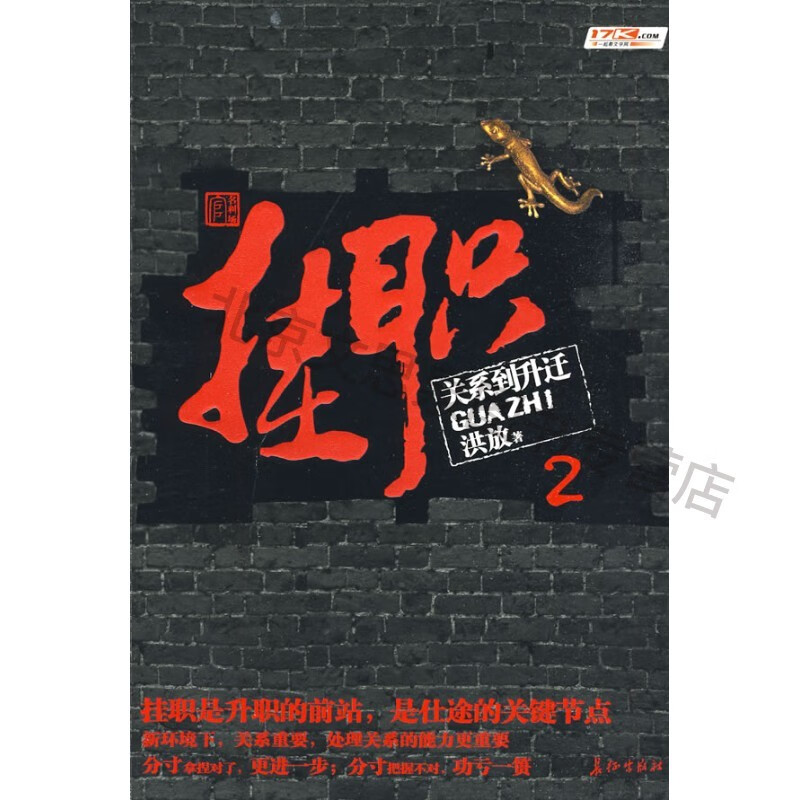 挂职【稀缺图书,放心购买】