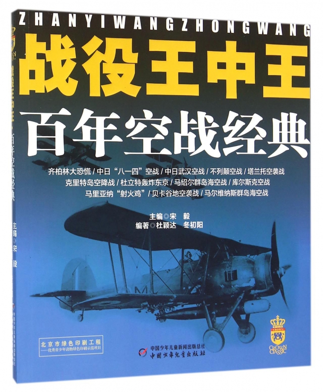 战役王中王(百年空战经典)