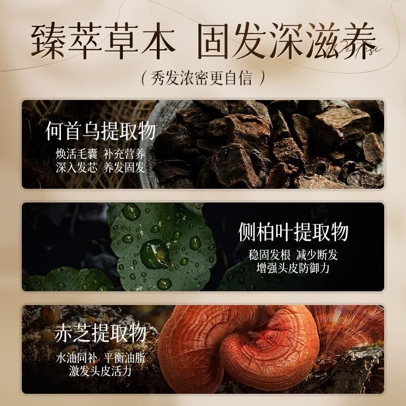 范泳辰防脱育发洗发水增发侧柏叶何首乌控油止痒洗头膏 【持证育发】500ml*2瓶