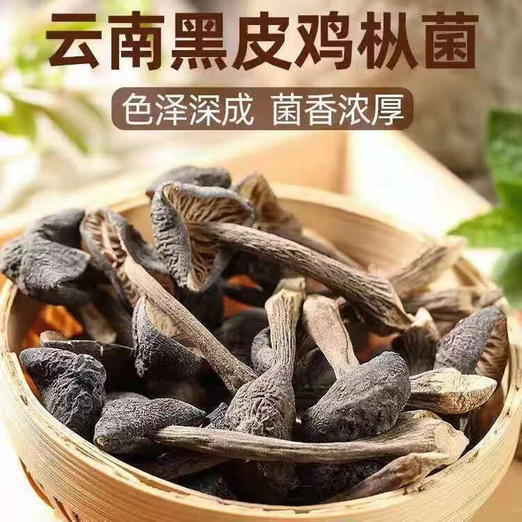 曾姐2024年新货云南黑皮枞菌500克野生鸡枞菌干货一斤 褐色