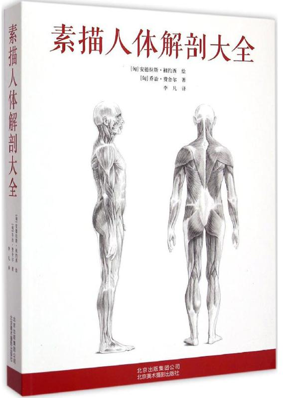 素描人体解剖大全 9787805017419 安德拉斯·祖约西 全新正版