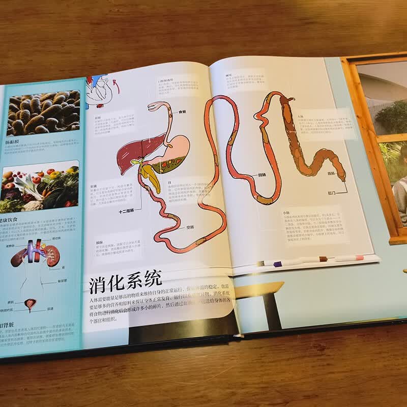 DK微观世界大百科（修订版）课外读物寒假暑假7-14岁小猛犸童书暑假阅读暑假课外书课外暑假自主阅读暑期假期读物详情图
