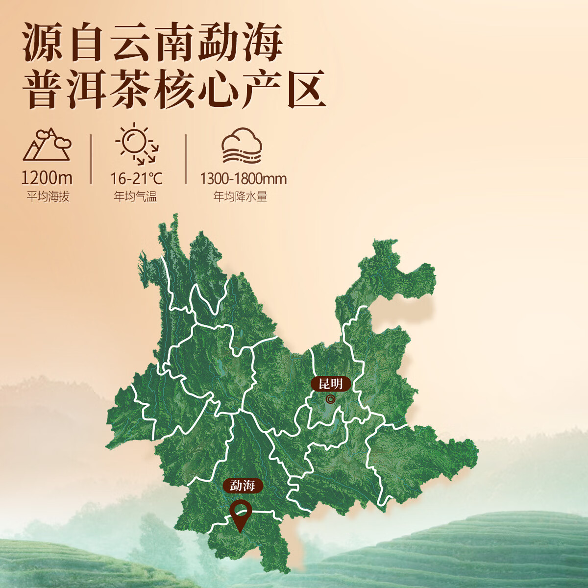 2025年黑茶怎么选?这8款口感独特,养生又好喝,真的值得试-图片6