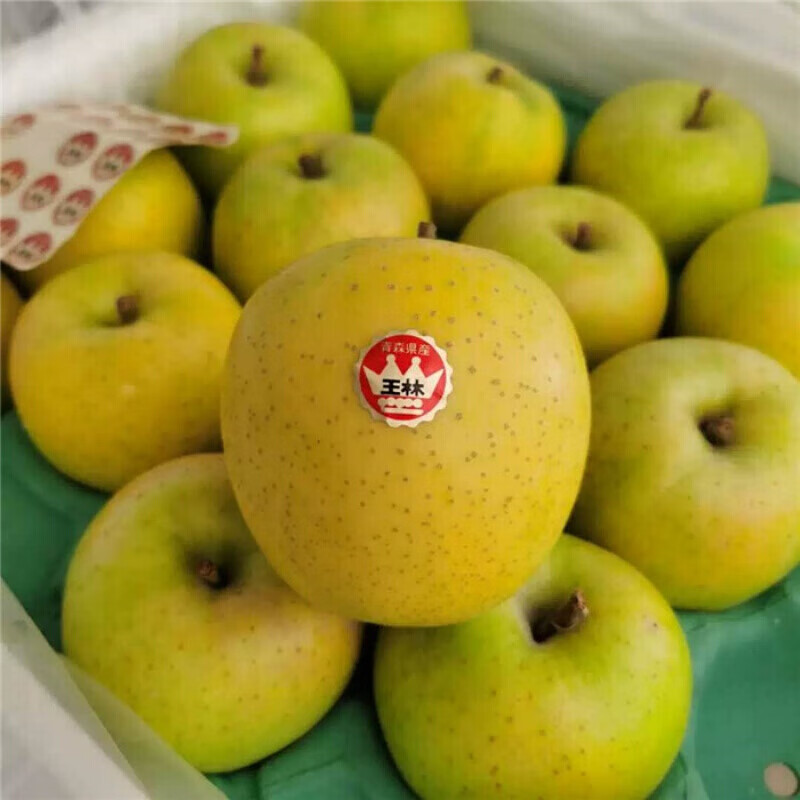 十里馋现货日本品种青森王林苹果8枚装新鲜孕妇贵族稀有新鲜水果 王林