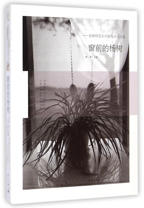 窗前的杨树--首都师范大学驻校诗人诗选 林莽