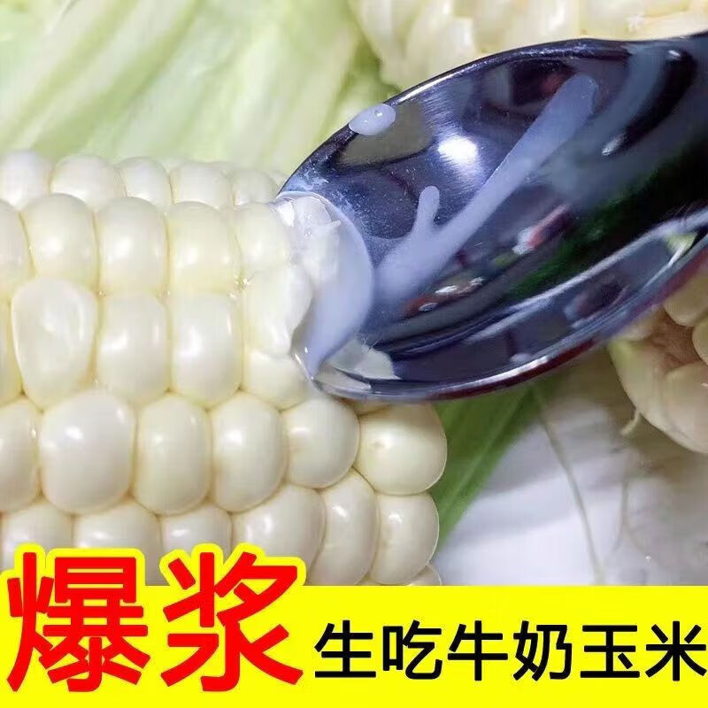 奢氧福建水果玉米开袋即食水果牛奶冰糖带皮奶油味爆浆玉米冰淇淋去皮