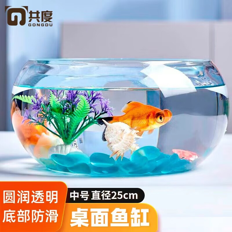 共度（Gong Du）玻璃鱼缸球形圆形缸生态草缸乌龟缸居家创意桌面水族箱观赏金鱼缸 中号裸缸 直径25cm 口径19cm 高度12cm
