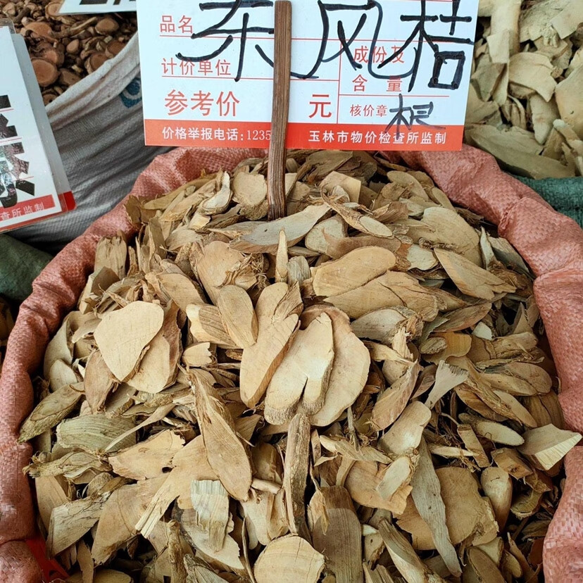 东风桔根500g 东风橘根 金橘根 山金桔根 山柑子根 山桔根