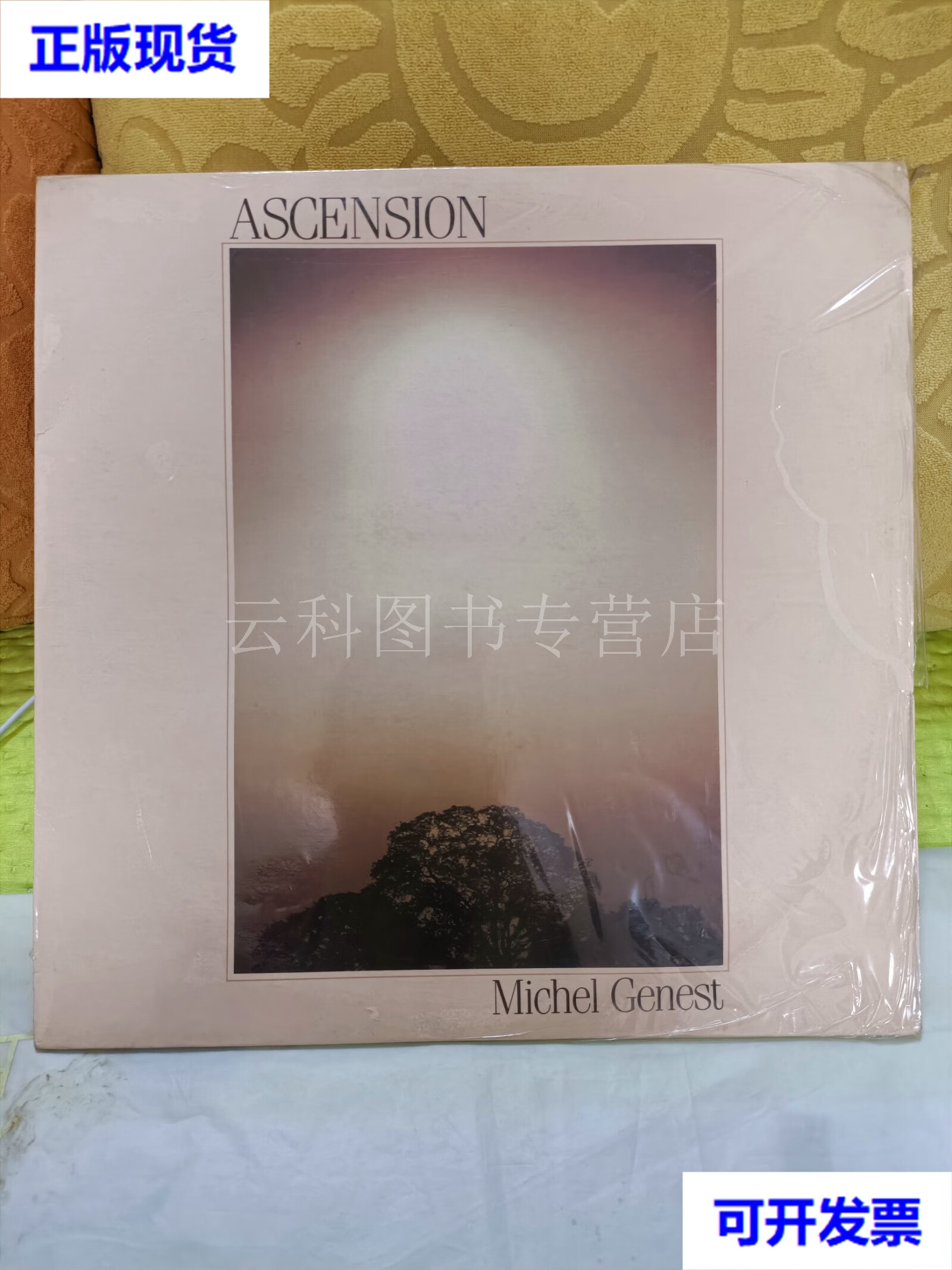 外文 michel genest ascension 米歇尔·热内斯特 作品 上升 二