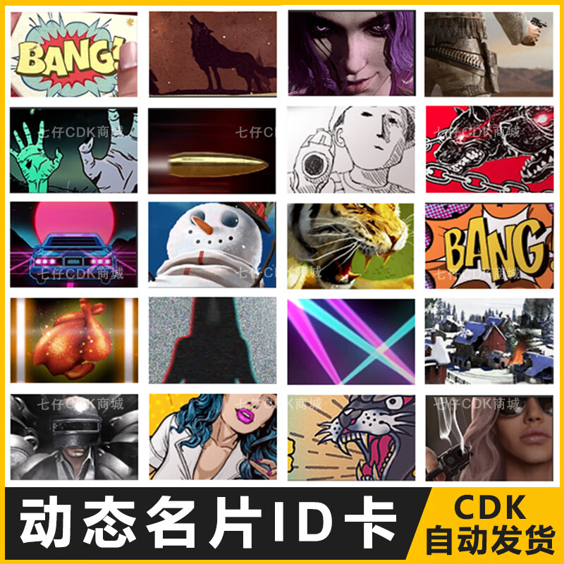 maisilunpubg绝地求生名片动态id卡吃鸡朱莉爱的看锅皮肤cdk 标准版