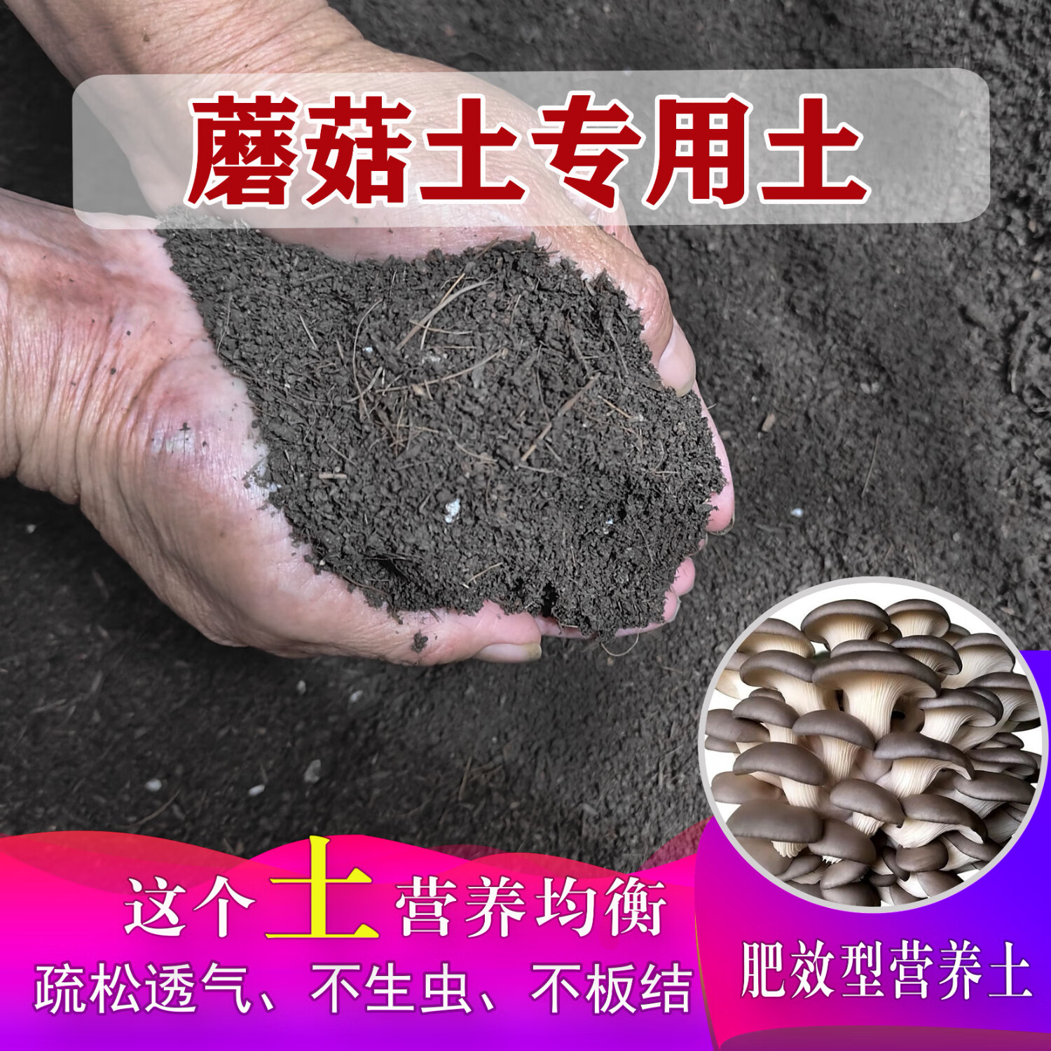 蘑菇土专用土蘑菇土营养土家用种植土壤家庭盆栽种花养花有机土 蘑菇土精配专用土[ 19斤 ]