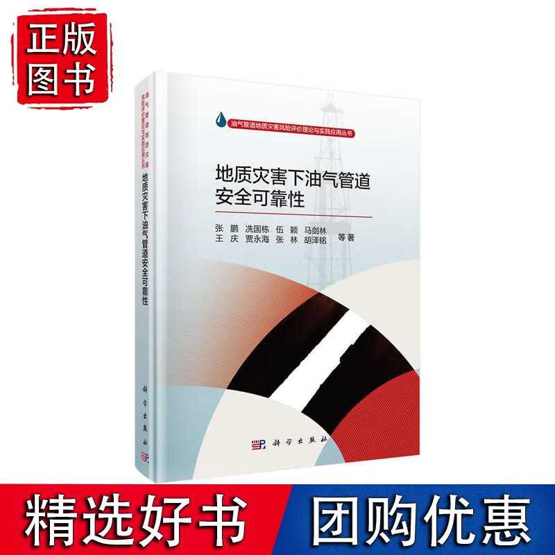 地质灾害下油气管道安全可靠性