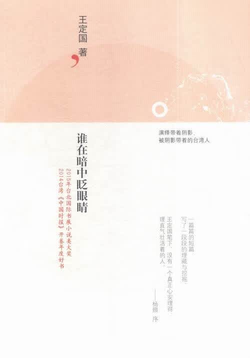 谁在暗中眨眼睛 小说 王定国 译林出版社 9787544756488