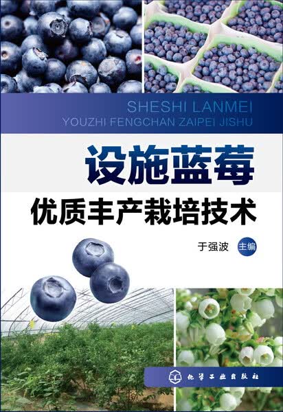设施蓝莓优质丰产栽培技术 于强波 主编