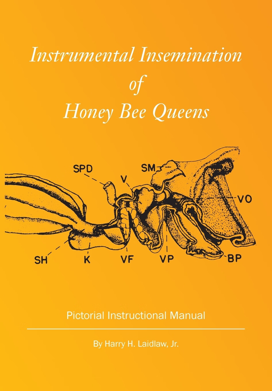 预售 按需印刷 instrumental insemination of honey bee queens