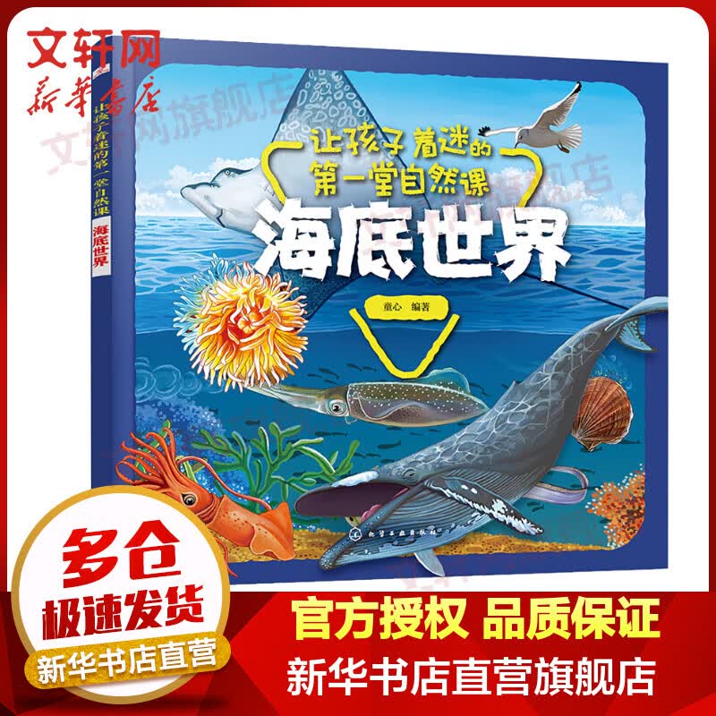 海底世界 儿童小学生一二三四五六年级推荐阅读课外书籍5-12岁